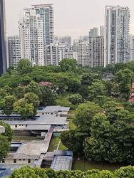 Blk 69 Moulmein View (Bukit Timah), HDB 4 Rooms #565789021